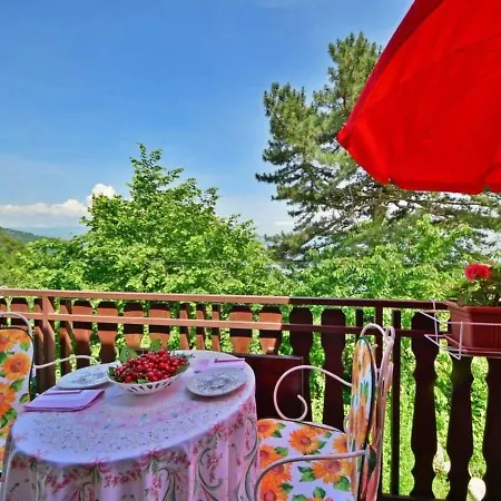 Comfy And Warm Ap With Balcony Surrounded With Beautiful Nature